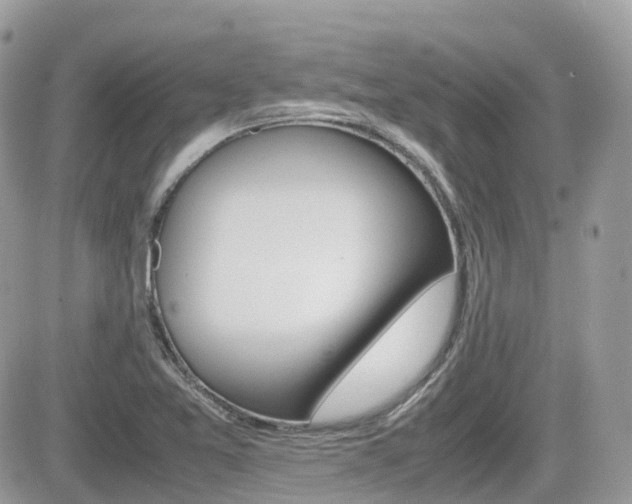 X0000082201365200701191039