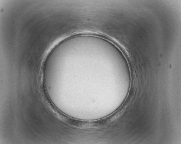 X0000082201367200701191039