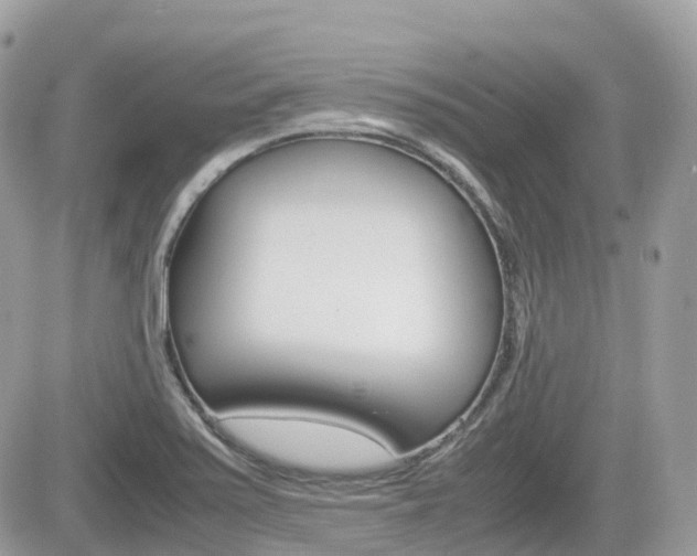X0000082201371200701191039