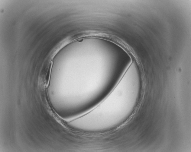 X0000082201377200701191039
