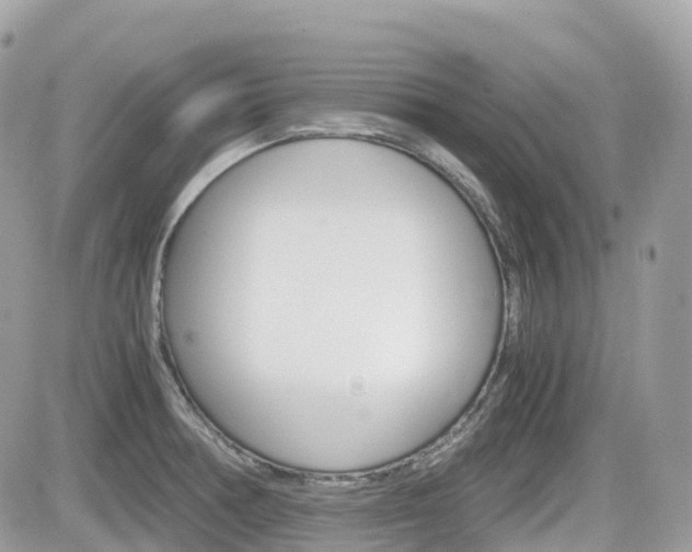 X0000082201378200701191039