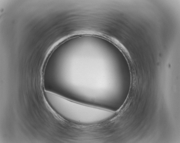 X0000082201380200701191039