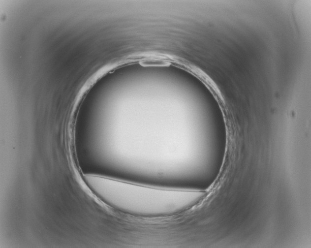 X0000082201381200701191039