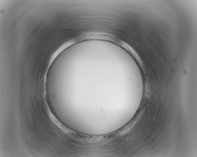 X0000082201386200701191039