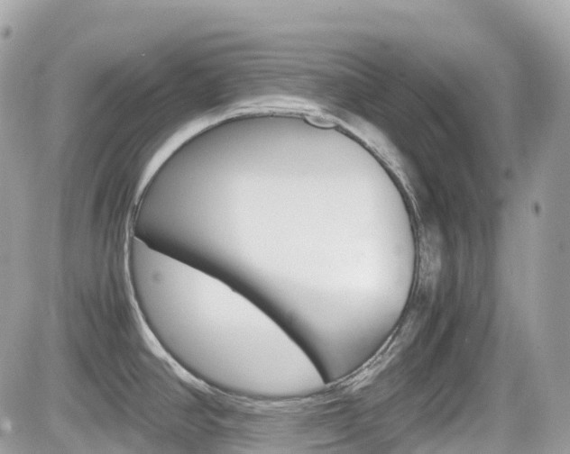 X0000082201390200701191039