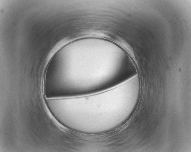 X0000082201391200701191039