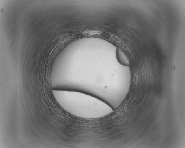 X0000082201393200701191038