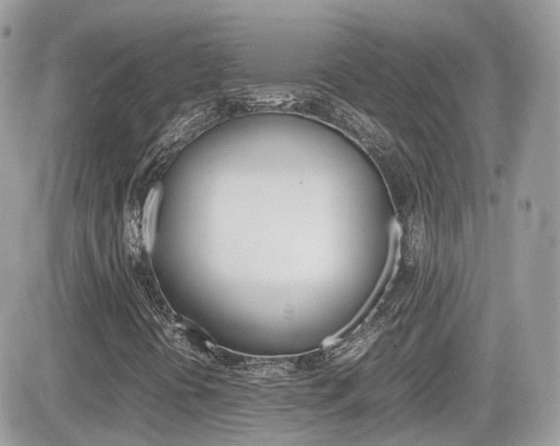 X0000082201394200701191038