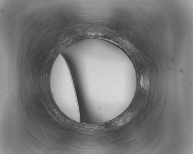 X0000082201396200701191038