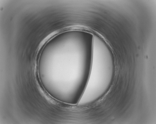 X0000082201418200701191039
