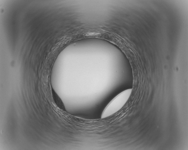 X0000082201441200701191038