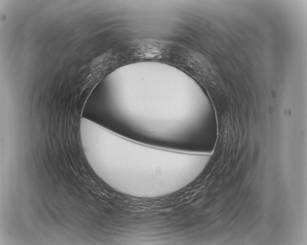 X0000082201442200701191038