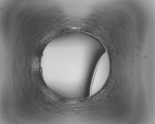 X0000082201443200701191038