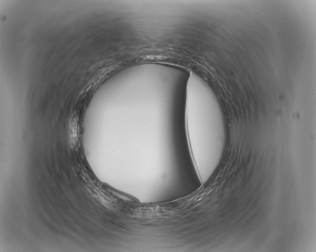 X0000082201444200701191038