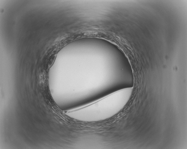 X0000082201445200701191038