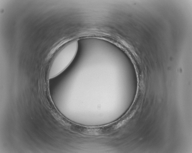 X0000082201453200701191038