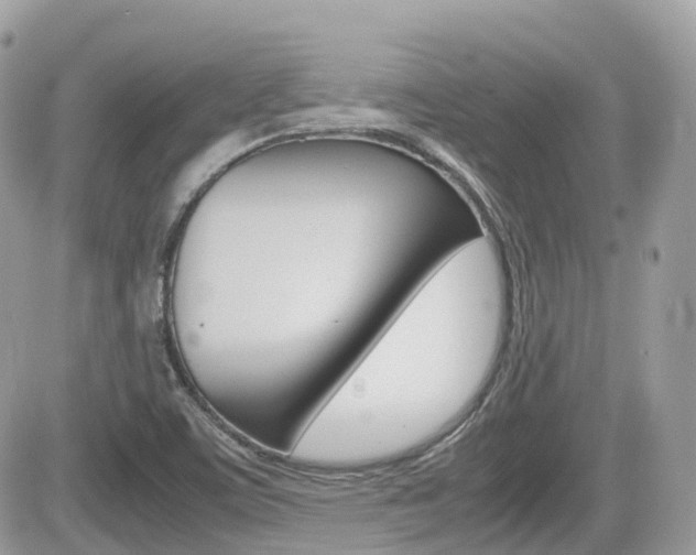 X0000082201459200701191038