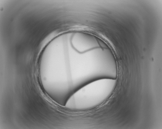 X0000082201467200701191038