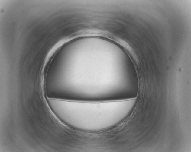 X0000082201472200701191038