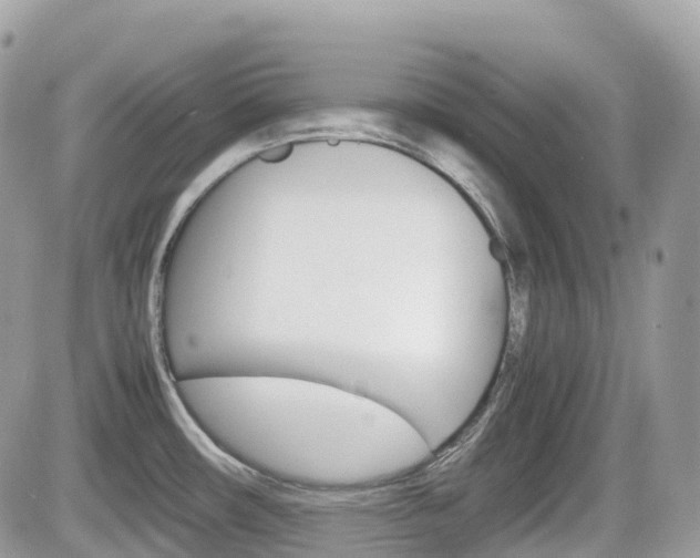 X0000082201482200701191038