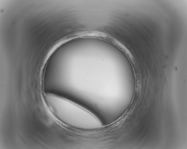 X0000082201483200701191037