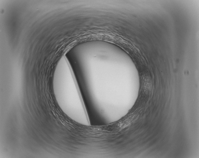 X0000082201489200701191037