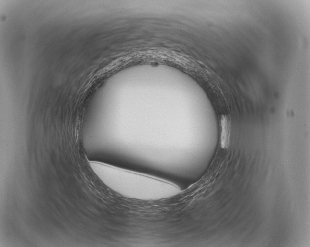 X0000082201491200701191037