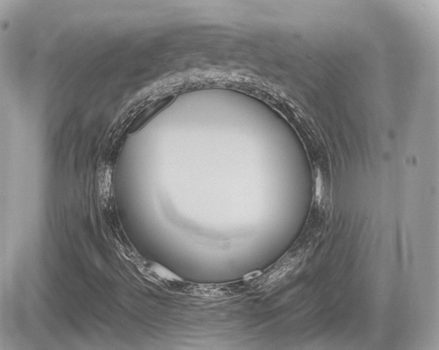 X0000082201492200701191037