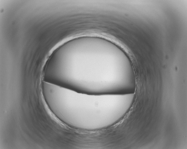X0000082201526200701191037