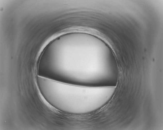 X0000082201531200701191037