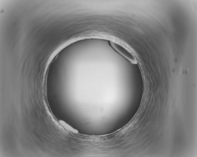 X0000082201536200701191037