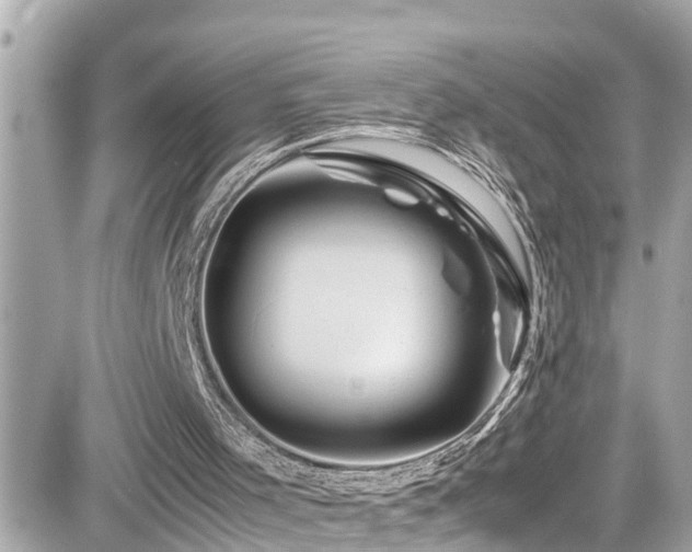 X0000082200001200701191454