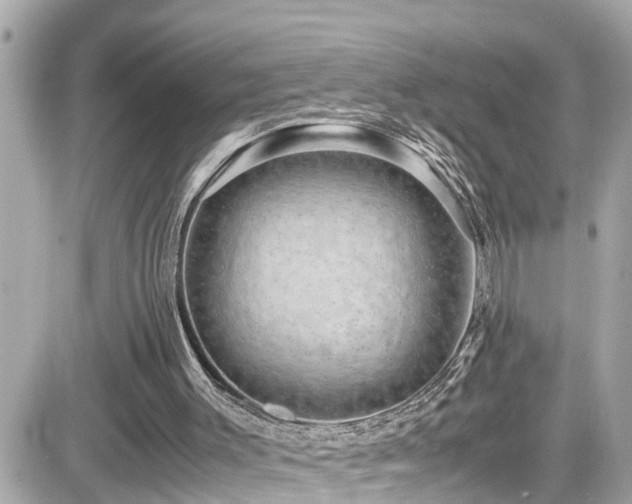 X0000082200003200701191454