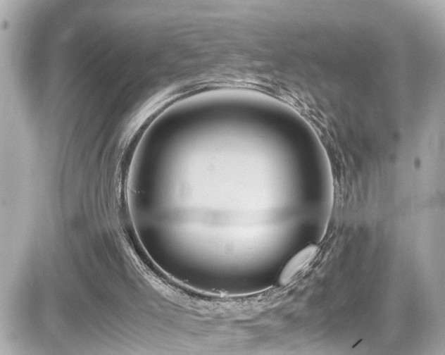 X0000082200005200701191454