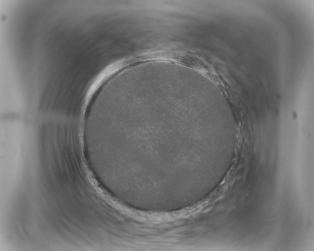 X0000082200006200701191454