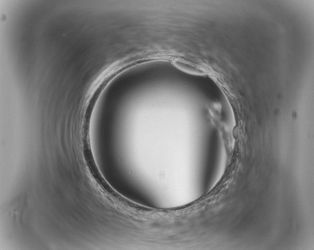 X0000082200007200701191454