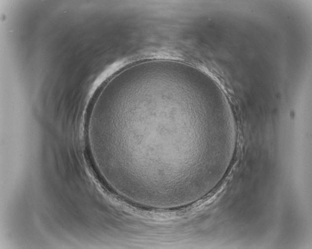 X0000082200008200701191454