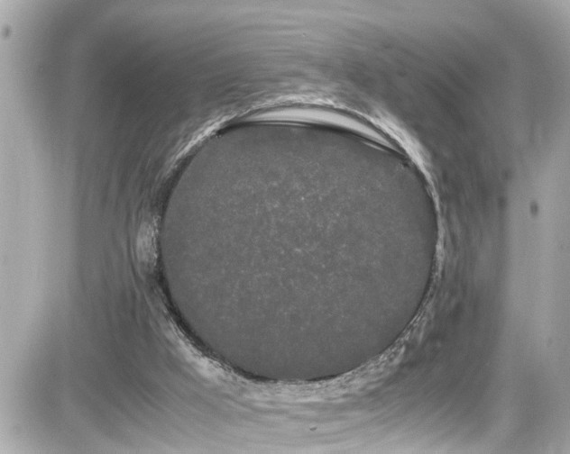 X0000082200009200701191453