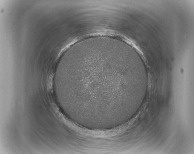 X0000082200010200701191453