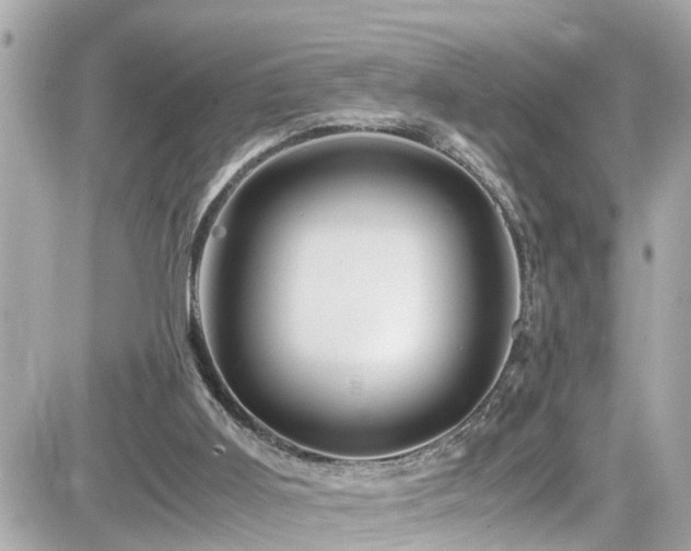 X0000082200011200701191453