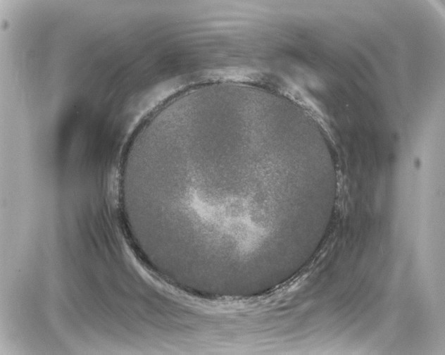 X0000082200012200701191453