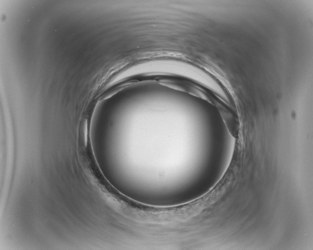 X0000082200013200701191453