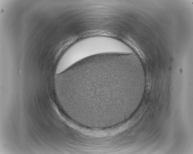 X0000082200014200701191453