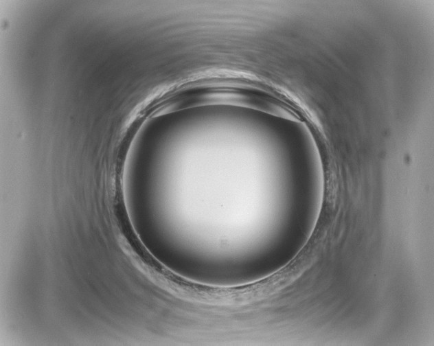 X0000082200015200701191453