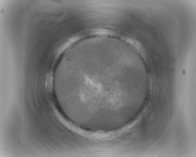 X0000082200016200701191453