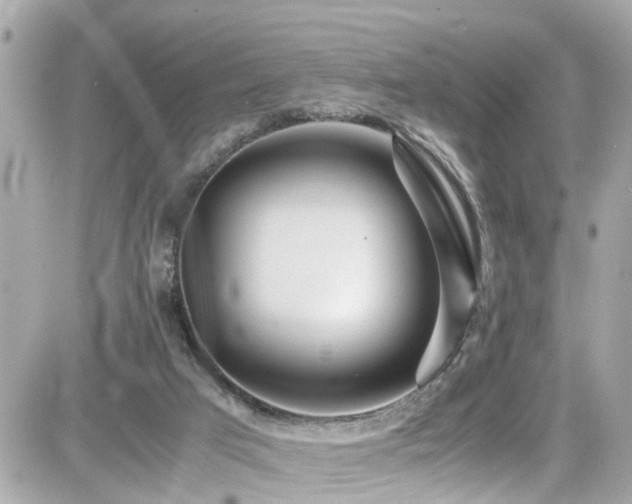 X0000082200017200701191453