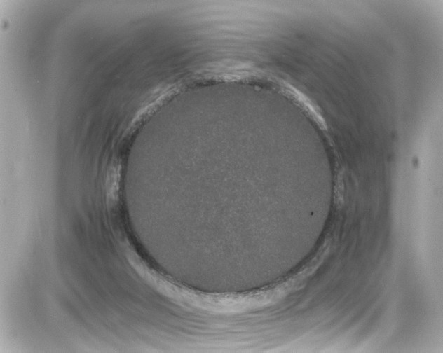 X0000082200018200701191453