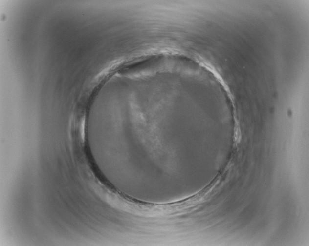 X0000082200019200701191453