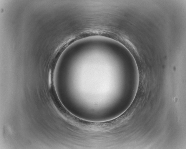 X0000082200020200701191453