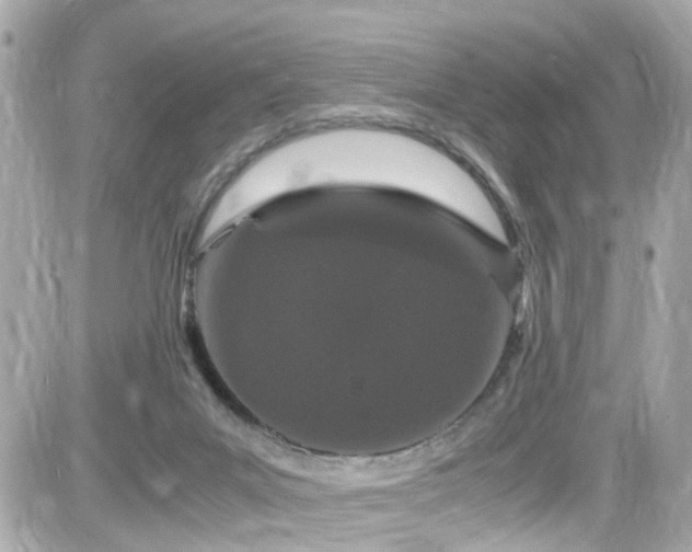 X0000082200023200701191453